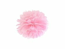 Licht Roze Pompom Decoratie 25cm Light Pink