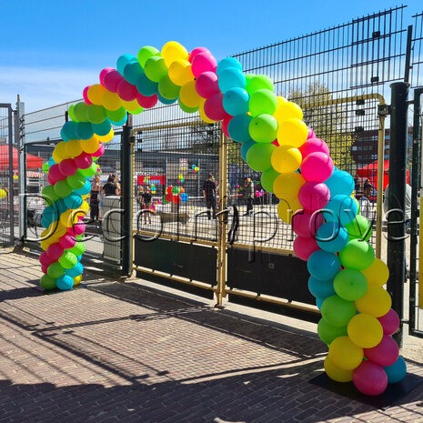Ballonnenboog Hawaii Standaard Extra Breed