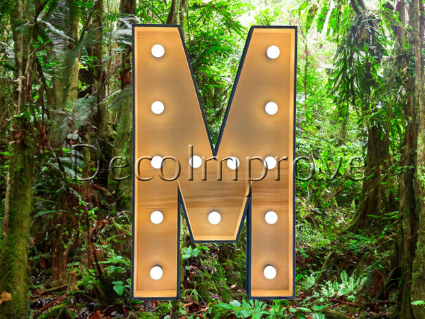Lichtletter Hout 'M' Verhuur