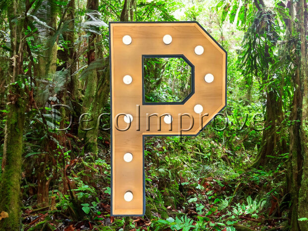 Lichtletter Hout 'P' Verhuur