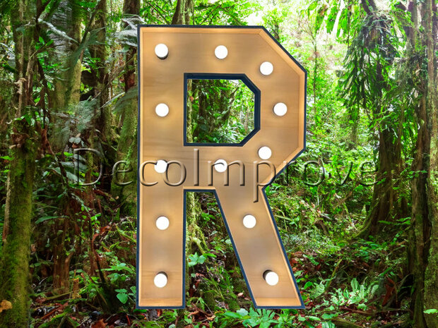 Lichtletter Hout 'R' Verhuur
