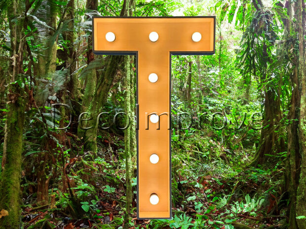 Lichtletter Hout 'T' Verhuur