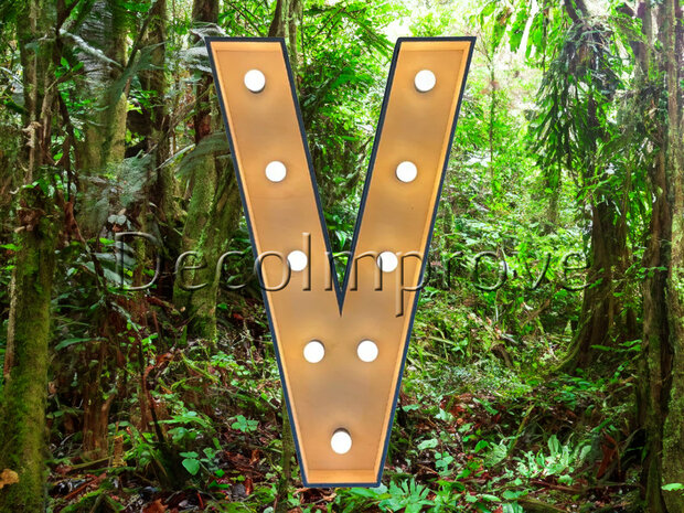 Lichtletter Hout 'V' Verhuur