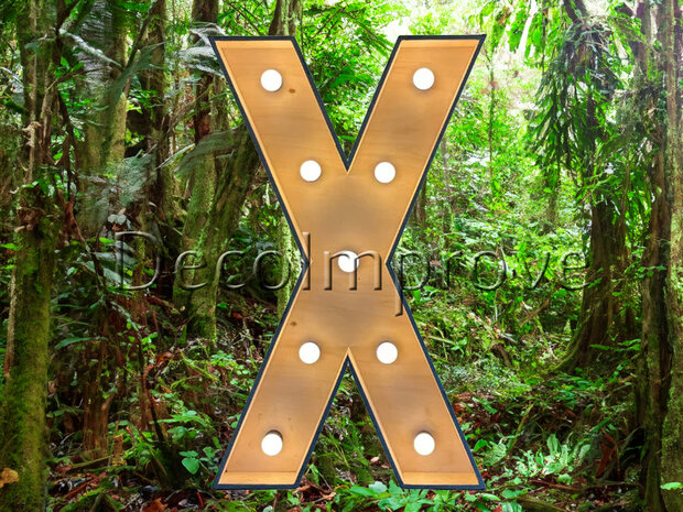 Lichtletter Hout 'X' Verhuur