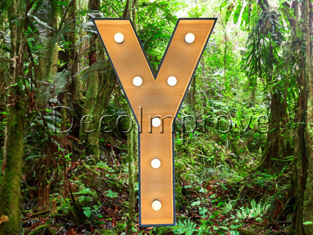 Lichtletter Hout 'Y' Verhuur
