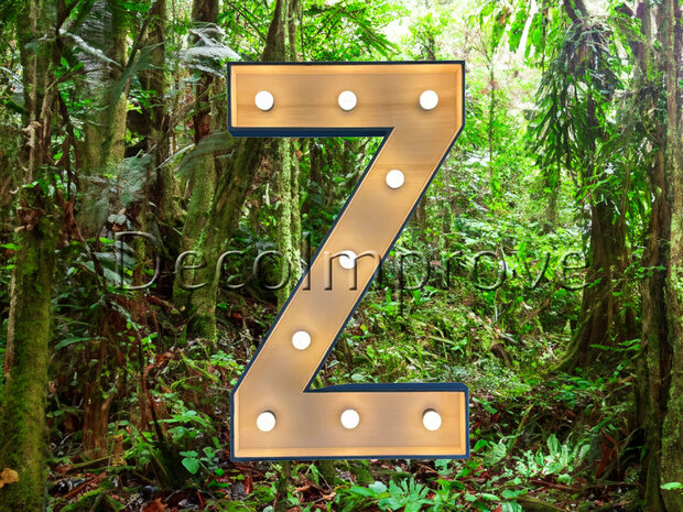Lichtletter Hout 'Z' Verhuur