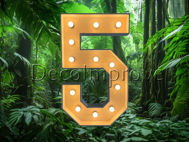 Lichtcijfer Hout '5' Verhuur