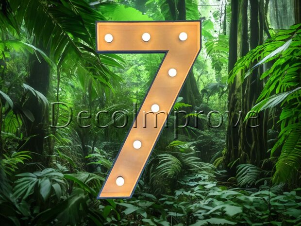 Lichtcijfer Hout '7' Verhuur