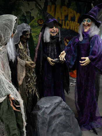 Heks Animatron Bewegend Figuur
