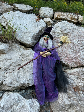 Paarse Heks Staand Figuur