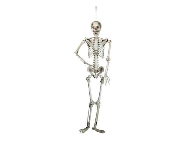 Skelet Hangend Figuur