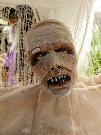 Mummie Animatron Bewegend Figuur