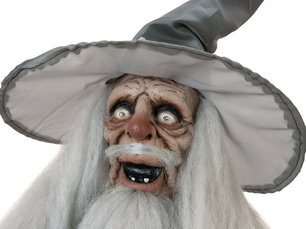Tovenaar Animatron Bewegend Figuur