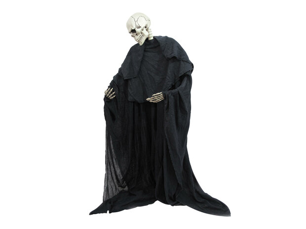 Skelet Staand Figuur