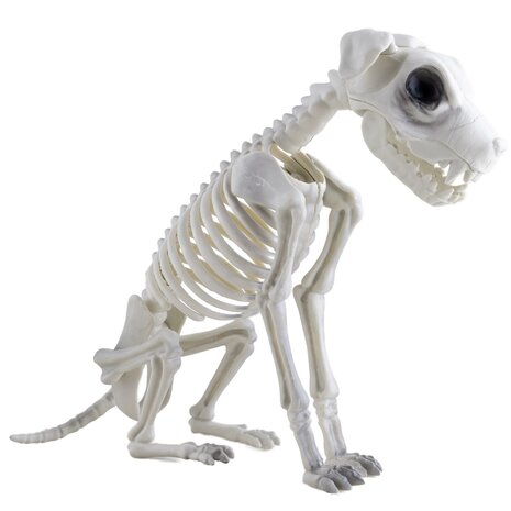 Hond Skelet Decoratie