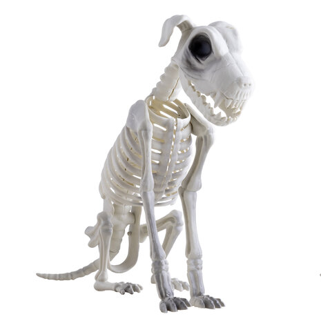 Hond Skelet Decoratie