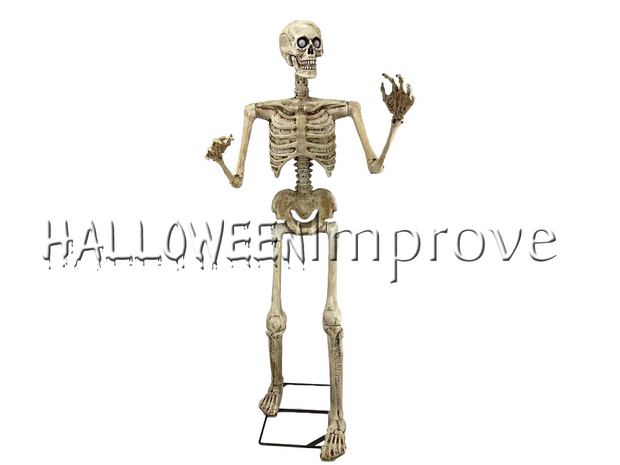 Staand Skelet 150cm Animatron Bewegend Figuur Verhuur