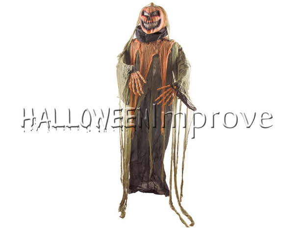 Pompoen met Licht Verhuur