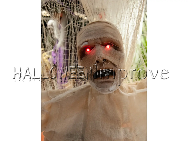 mummie6
