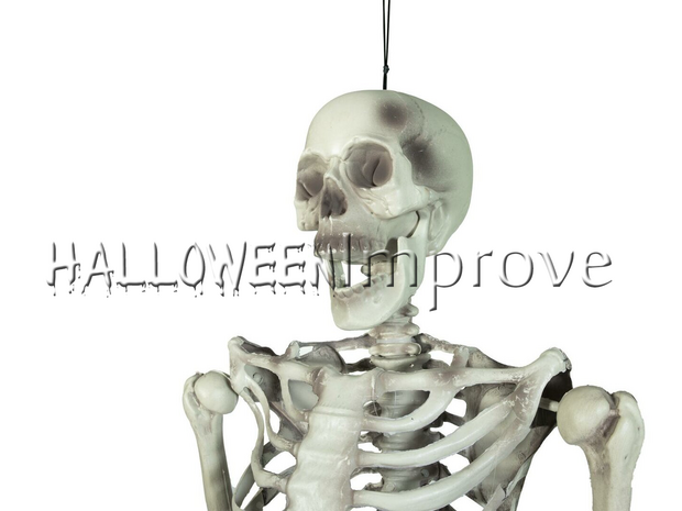 Skelet Hangend Figuur