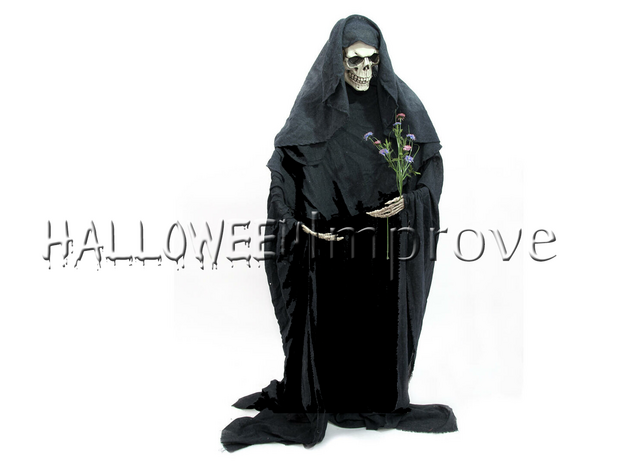 Skelet Staand Figuur