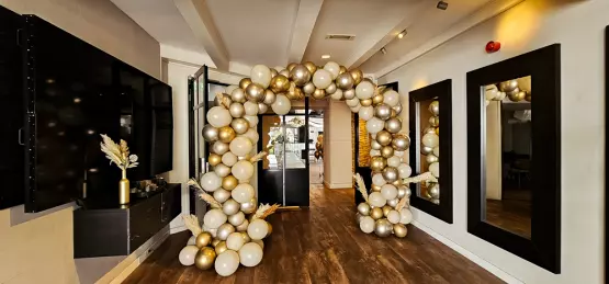 Organische ballonnenboog