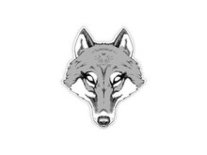Wolf Vrouwtje Masker Karton