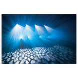 Showtec Infinity iS-100 100W witte LED 15° pro LED movinghead