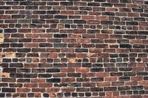 Bakstenen Muur Backdrop 250x200cm