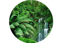 Jungle met Waterval Backdrop Rond 200cm