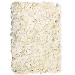 Creme Bloemen Flowerwall Bloemen Wand