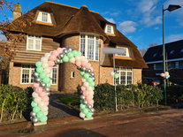 Ballonnenboog Standaard Chroom Zilver, Pastel Roze, Pastel Groen en Wit