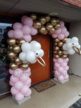 Ballonnenboog Ooievaar Roze