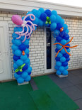 Ballonnenboog Onderwaterdieren Diepzee