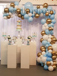 Organic Pastel Blauw en Wit Driekwart Ballonnenboog
