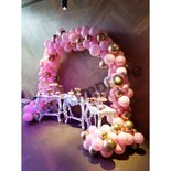 Ballonnenboog Roze Organic