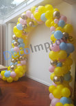 Ballonnenboog Organic What Will it Bee