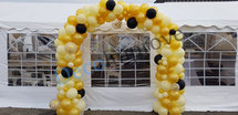 Ballonnenboog Goud Organic