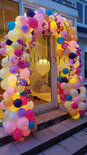 Ballonnenboog Pastel Organic