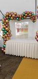Organic Chrome Driekwart Ballonnenboog