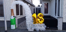 Ballonnenboog Champagne Bubbles Enkeldeurs