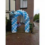 Ballonnenboog Frozen Ijs Enkeldeurs