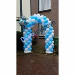 Ballonnenboog Frozen Ijs Enkeldeurs