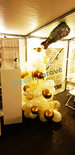 Ballonnenpilaar Champagnebubbles Wit en Goud