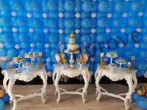 Baby Blauw Ballonnenwand