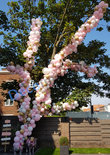 Baby Organic Slinger Ballondecoratie per Meter