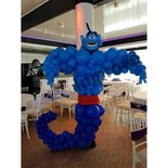 Aladdin Geest Ballondecoratie