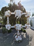 Romance Foto Frame Ballondecoratie