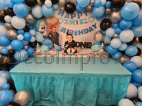 Boss Baby Setting Basic