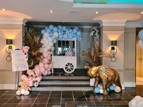 Gouden Olifant Gender Reveal Setting